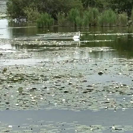 G&j Fourmidables * Recourt (Pas-de-Calais)