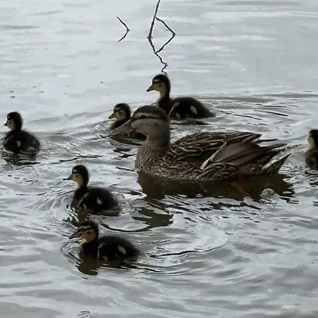 Vakantiehuis G&j Fourmidables