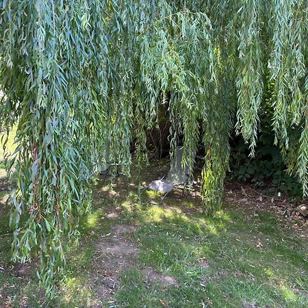 Vakantiehuis G&j Fourmidables *